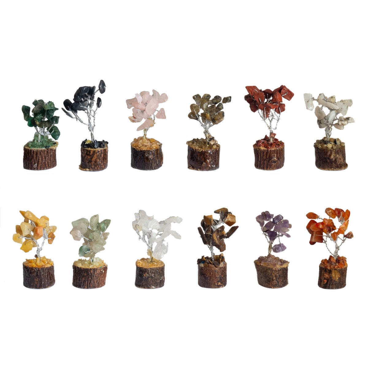 Set X12 Árboles Minerales