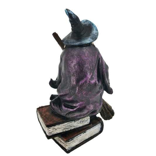 Bruja Sentada en Libro