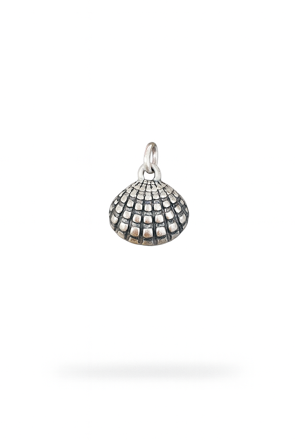 Colgante Concha 18MM