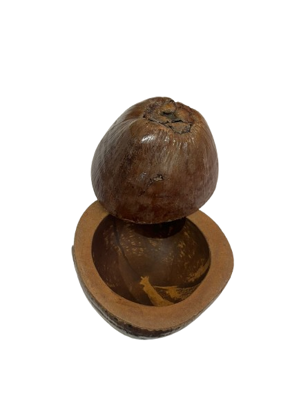 Cubitera Coco Natural