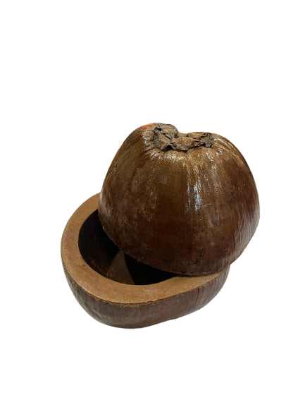 Cubitera Coco Natural