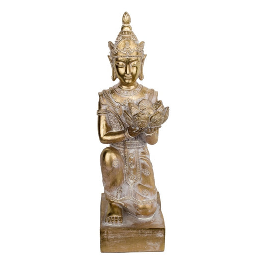 Buda Balines Rodillas Ofrenda