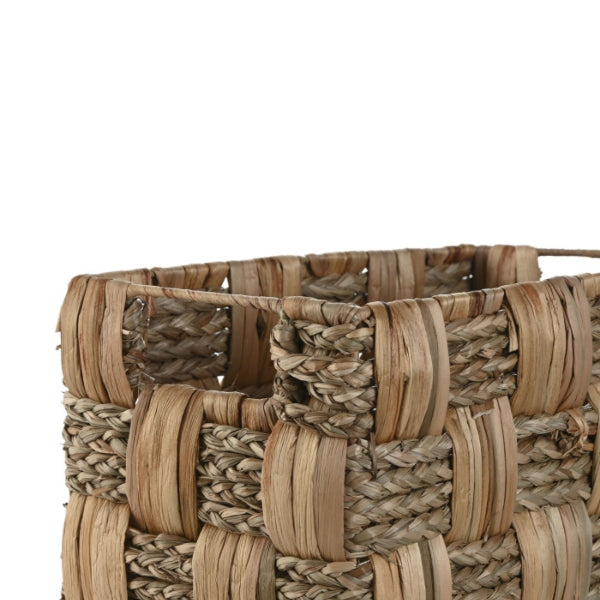 Cesta Jacinto de Agua GD