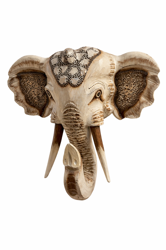 Cabeza Elefante 40X40CM