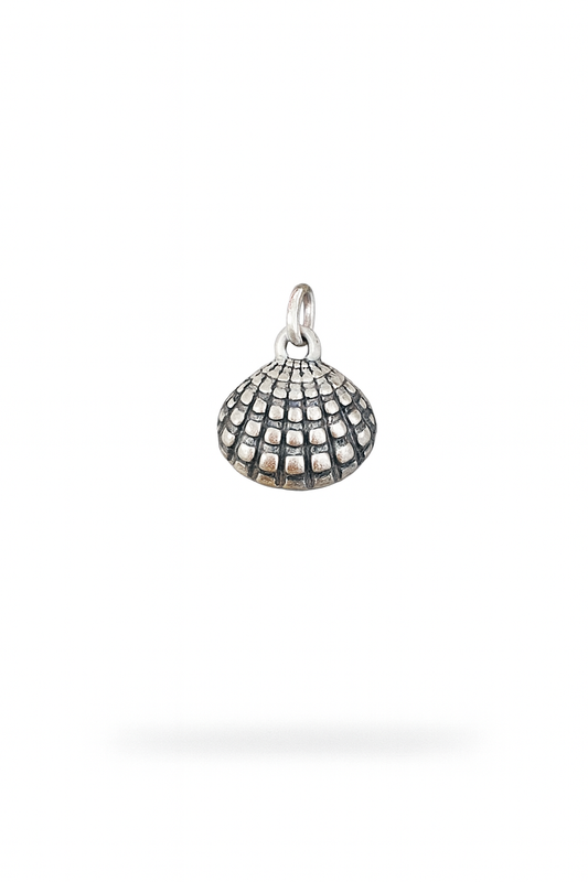 Colgante Concha 18MM