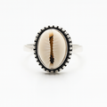 Anillos Concha Natural