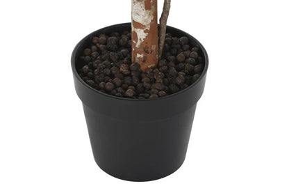 Planta Verde Grande Flor Blanca