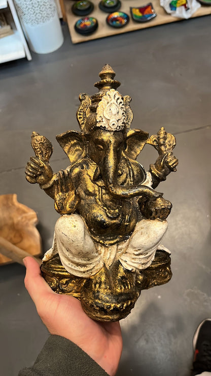 Ganesha 4 Brazos